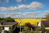 Ferienwohnung in Grömitz - Ostseebrise - Bild 9