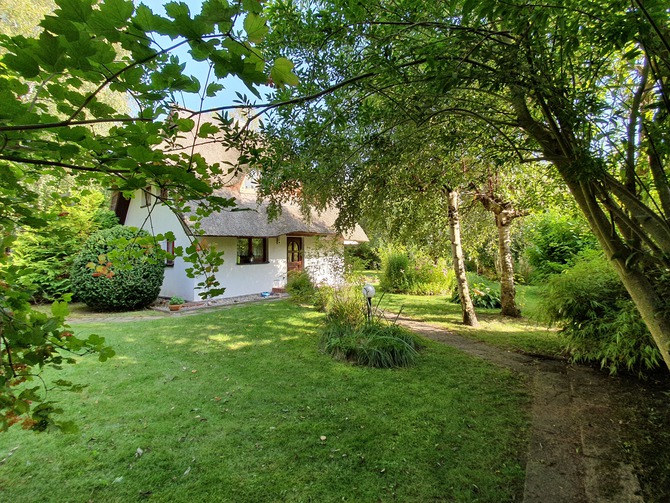 Ferienhaus in Dierhagen - Ferienhaus Kaminsky - Bild 4