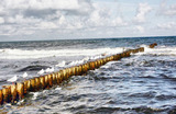 Ferienhaus in Ostseeheilbad Zingst - Haus Seegurke - Bild 16