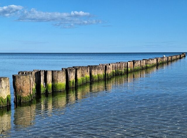 Ferienwohnung in Zingst - Achtern Diek 13a Whg. 1 - Bild 18