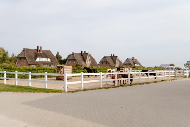 Ferienhaus in Fehmarn OT Staberdorf - Reethaus 2B - Bild 22