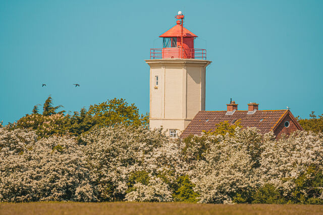 Ferienwohnung in Fehmarn OT Westermarkelsdorf - Twister - Bild 14