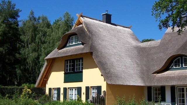 Ferienhaus in Dierhagen - Reetgedecktes Ferienhaus - Bild 14