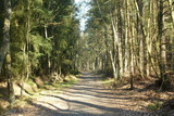 Ferienwohnung in Prerow - FeWo Rothirsch - Heuser Prerow - Bild 15