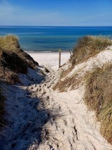 Ferienwohnung in Prerow - FeWo Weststrand - Heuser Prerow - Bild 19