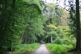Ferienwohnung in Prerow - FeWo Leuchtturm - Heuser Prerow - Bild 14