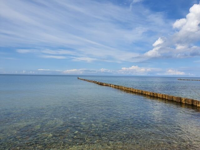 Ferienwohnung in Ribnitz-Damgarten - Ferienhof SchilfMeer - Fewo "Seepferdchen" - Bild 25
