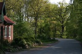 Ferienwohnung in Schashagen - Bellevue rechts - Bild 8