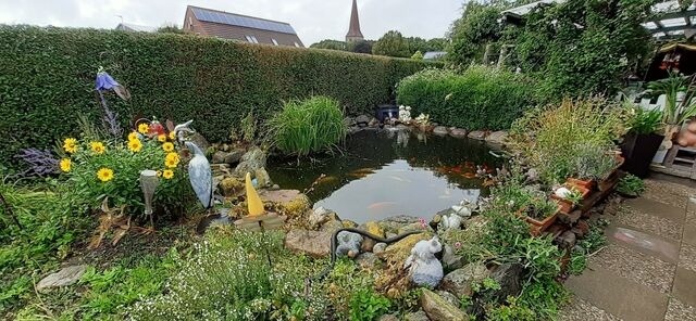 Ferienwohnung in Fehmarn - Ferienwohnung Wildblume - Bild 2