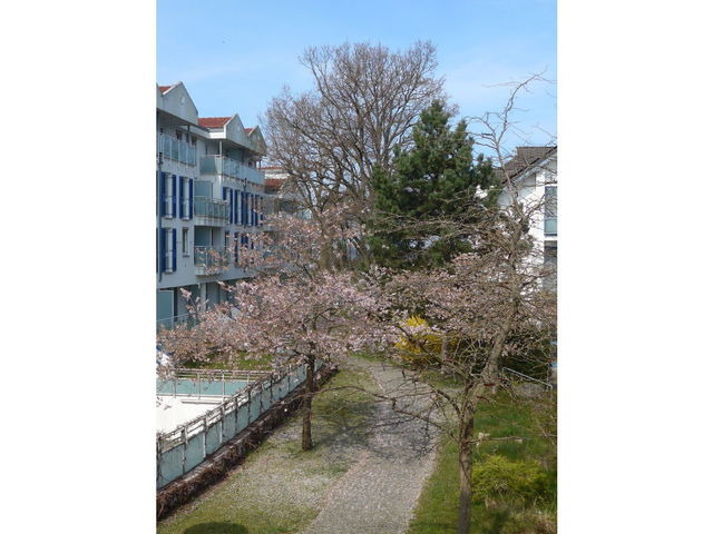 Ferienwohnung in Zingst - Am Kurhaus 508 - Ostsee-Lug, PP am Bernsteinhaus - Bild 15