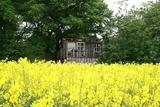 Ferienwohnung in Carinerland - Wagen am Rande der Welt - Bild 12