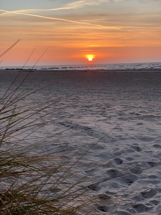 Ferienwohnung in Fehmarn OT Burgtiefe - Aurora Sonnenschein 5-412 - Bild 14