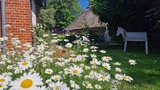 Ferienwohnung in Riepsdorf - Familienzeit - aktuell noch freie Kapazit&auml;ten im Sommer! - Bild 12