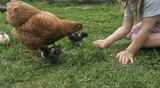 Ferienwohnung in Riepsdorf - Familienzeit - aktuell noch freie Kapazit&auml;ten im Sommer! - Bild 13