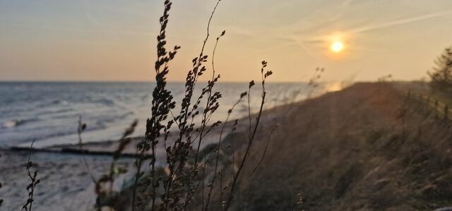 Ferienwohnung in Riepsdorf - Familienzeit - aktuell noch freie Kapazit&auml;ten im Sommer! - Bild 25