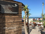Ferienwohnung in Stein - Whg. Strandläufer- Haus Nordlichter - Bild 21