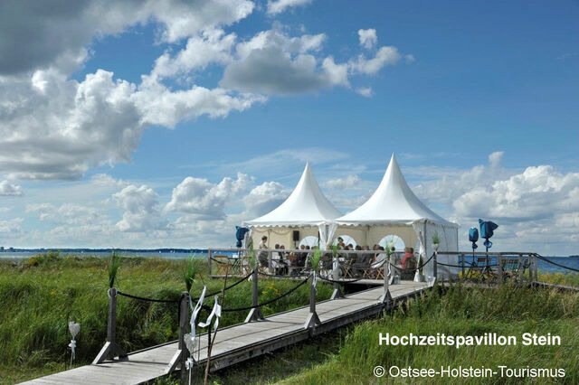 Ferienwohnung in Stein - Whg. Strandläufer- Haus Nordlichter - Bild 22