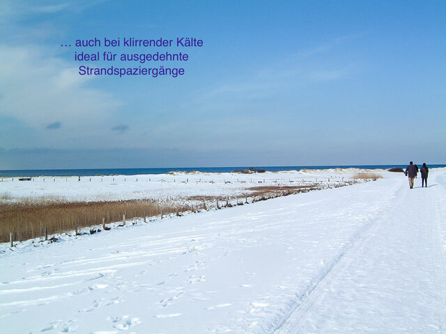 Ferienwohnung in Stein - Whg. Strandläufer- Haus Nordlichter - Bild 24