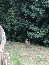 Ferienwohnung in Steinbeck - MP 4 Meerjungfrau - Bild 12 Ferienwohnung in Steinbeck - MP 4 Meerjungfrau - Bild 12