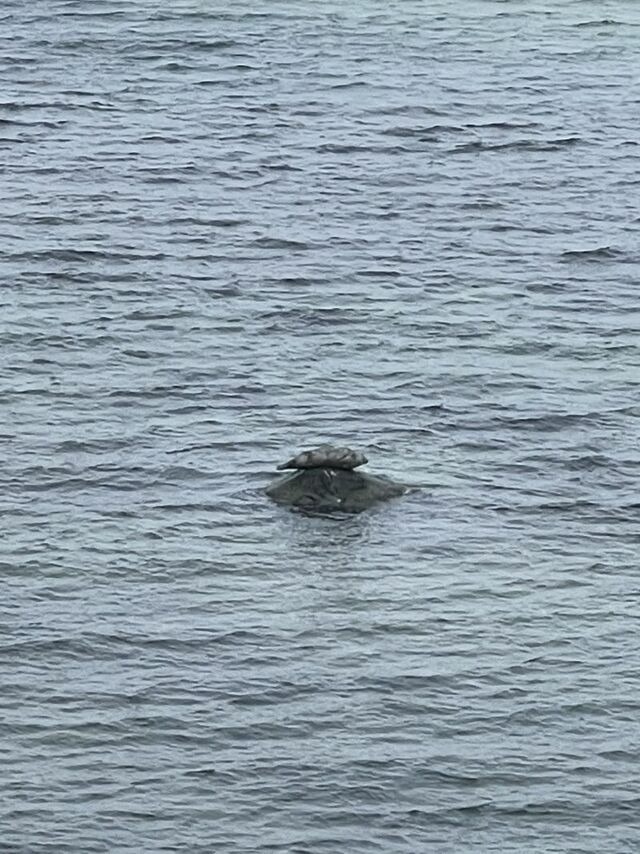 Ferienwohnung in Steinbeck - MP 4 Meerjungfrau - Bild 14 Ferienwohnung in Steinbeck - MP 4 Meerjungfrau - Bild 14