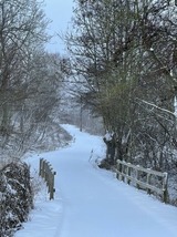 Ferienwohnung in Steinbeck - MP 4 Meerjungfrau - Bild 15 Ferienwohnung in Steinbeck - MP 4 Meerjungfrau - Bild 15