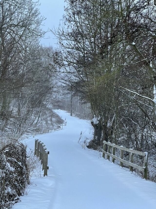 Ferienwohnung in Steinbeck - MP 4 Meerjungfrau - Bild 15 Ferienwohnung in Steinbeck - MP 4 Meerjungfrau - Bild 15