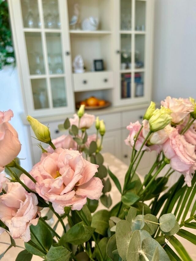 Ferienwohnung in Zingst - Fewo St&uuml;ring - Bild 19