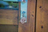 Ferienhaus in Fehmarn OT Gollendorf - Piratenhof St&ouml;rtenbecker Gartenhaus - Bild 9