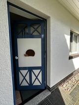 Ferienwohnung in Zingst - Igel - Bild 2