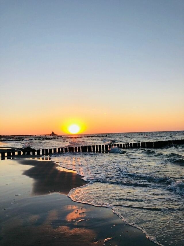 Ferienwohnung in Zingst - Igel - Bild 19
