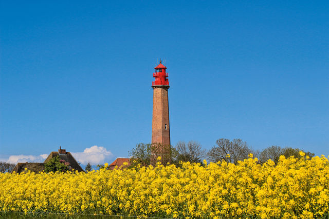 Ferienwohnung in Fehmarn OT Klausdorf - Sternenhimmel - Bild 13