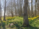 Ferienwohnung in Kellenhusen - Rosa Canina, W5 - Bild 12