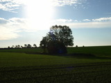 Ferienwohnung in Klaustorf - Ostseeblick (Whg. 6) - Bild 22