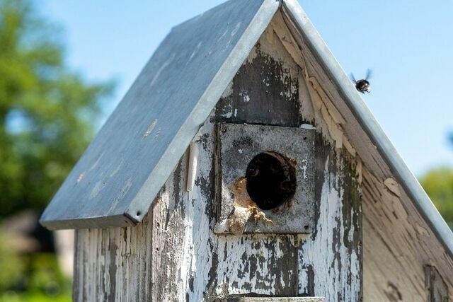 Ferienhaus in Gro&szlig;enbrode - "Am hohen Ufer", Reetdach-Haus "Ocean Breeze 136" - Bild 21