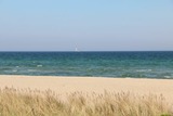 Ferienhaus in Brodersby - Poolhaus Ostsee - Bild 23