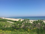 Ferienhaus in Brodersby - Poolhaus Ostsee - Bild 24