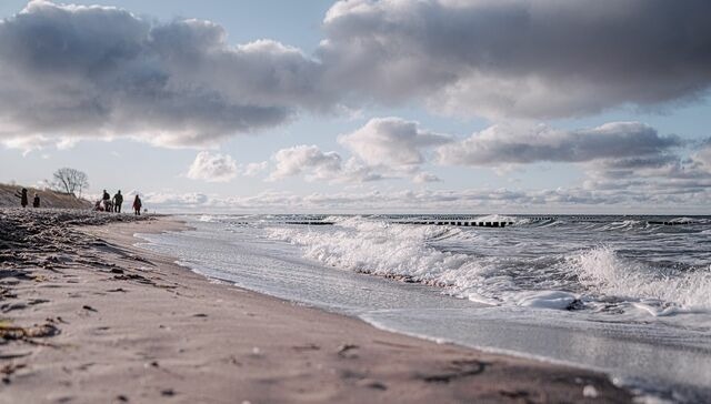 Ferienwohnung in Ahrenshoop - Strandoase 1 - Bild 7