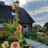 Ferienhaus in Gr&ouml;mitz - Ferienhaus Marina III - Bild 18