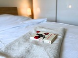 Ferienwohnung in Fehmarn OT Wulfen - Anneliese Blumenwiese - Bild 2
