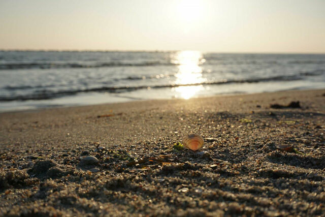 Ferienhaus in Baabe - Strandvilla Baabe 5 - Meeresgl&uuml;ck - Bild 20