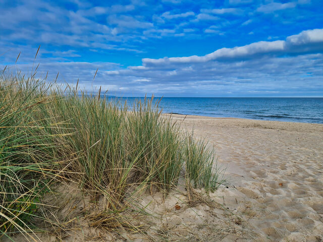 Ferienhaus in Baabe - Dwarsloeper - Baabe - Bild 21