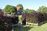 Ferienwohnung in Pönitz am See - Landhaus am See - mit Terrasse - Bild 23