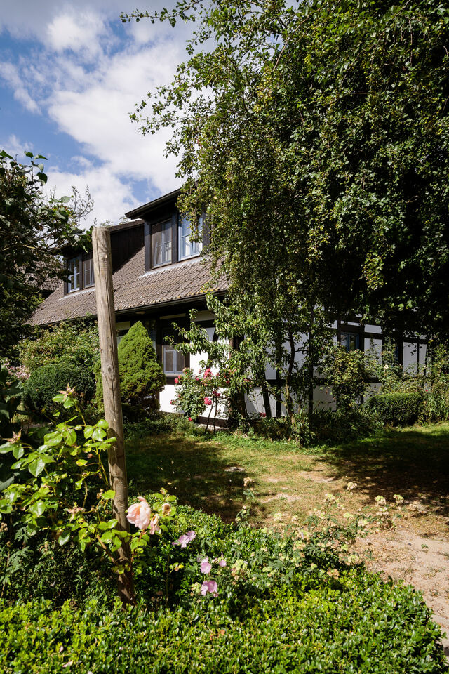 Ferienwohnung in Rankwitz - 4-Raum Apartment bis 6 Pers. (2.2) - Bild 4
