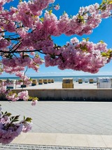 Ferienwohnung in Gr&ouml;mitz - Ostsee-Quartier 1 | Gutenbergstra&szlig;e 5 | APPARTO Gr&ouml;mitz - Bild 18
