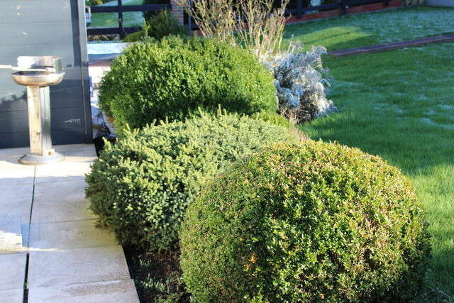 Ferienwohnung in Heiligenhafen - "Mien leeve S&uuml;nn" - Bild 21