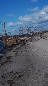 Ferienhaus in L&uuml;tow - Ferienhaus K&ouml;hler Am Achterwasser , Urlaub mit Hund - Bild 4