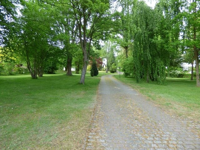 Ferienwohnung in Sellin - Ferienwohnung 1 -60qm- im Souterrain der Villa Walhall in einem parkähnlichen Garten - Bild 15