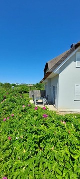 Ferienhaus in Dassow - zwisch. Boltenhagen und Pötenitz Ostseeurlaub bis 6 Pers. "Alte Liebe"Haus B - Bild 1