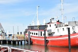 Ferienwohnung in Fehmarn OT Burgtiefe - Kleine Hafenauszeit - Bild 24