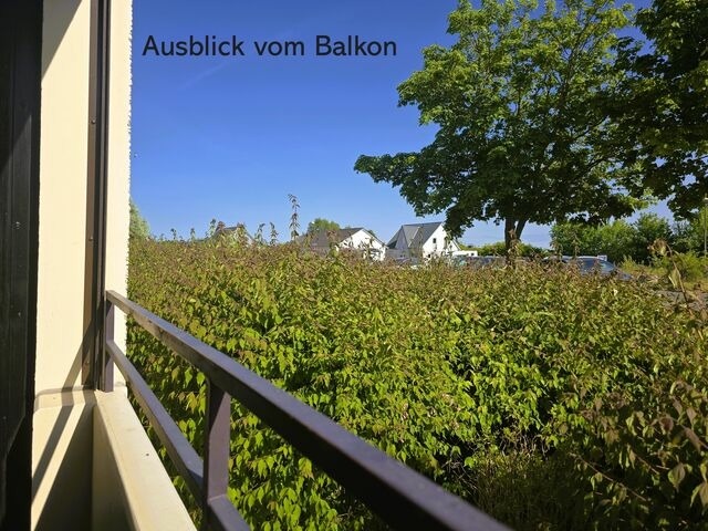 Ferienwohnung in Wendtorf - Austernfischer - Bild 5